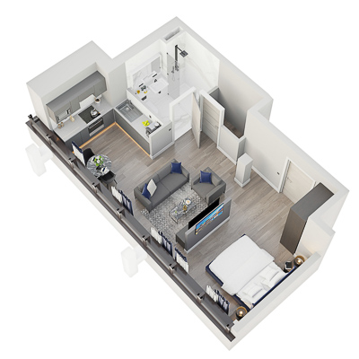 Manhattan Apartment